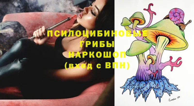 OMG ссылка  Астрахань  Псилоцибиновые грибы MAGIC MUSHROOMS 